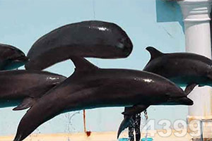 冠壹体育正式版