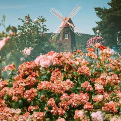 美国国家航空航天局（NASA）斥资200亿美元建造月球基地，取消月球轨道站对雄安的发展前景 我们充满信心