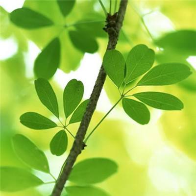 中国自研新一代超大型油船交付