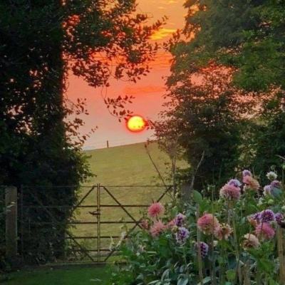 证券ETF国联安(159848)涨0.97%,成交额424.24万元