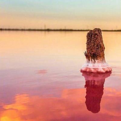 外交部：中方对日本不法之徒强行闯入 中国驻日本大使馆深感震惊