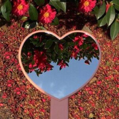 明星收入究竟有多高，明星应当如何纳税？