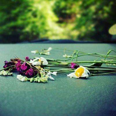 公交印贞洁是嫁妆标语 别变公害广告