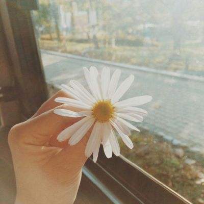 震惊!券商研究所又爆丑闻,某所长性骚扰女员工被保安扭送至派出所