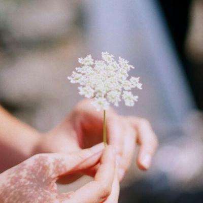 舍得酒业回暖：库存开始回归良性水平 大众品取得高增长