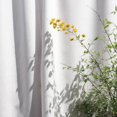 冠壹体育豪华版