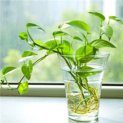 女孩乘地铁吐血 怕影响乘客立即擦拭