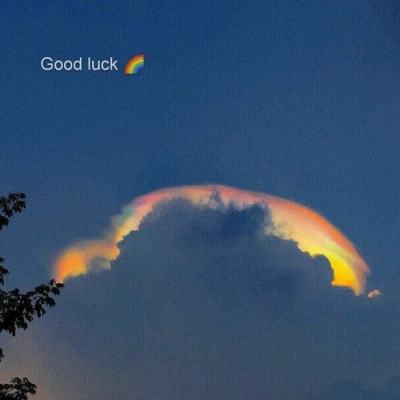 纽约汇市:美元兑主要货币尾盘收窄涨幅