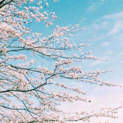 平安银行最新MSCI ESG评级提升至AAA，获最高评级